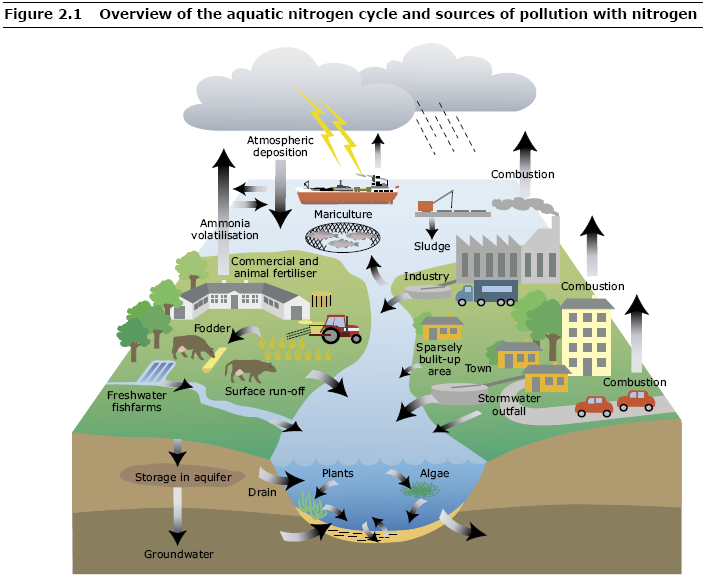 Point Sources of Pollution
